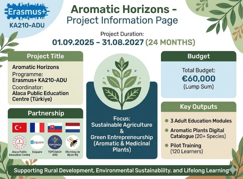 Mastering the Green Gold: An Introduction to Sustainable Aromatic Plant Cultivation