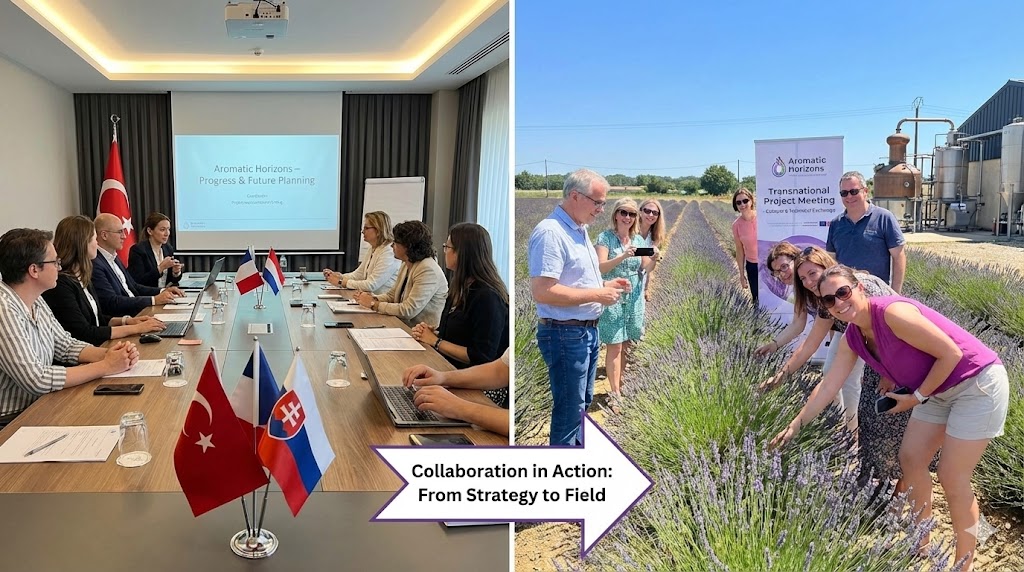 Building Bridges Across Borders: The Strategic Role of Our Transnational Meetings